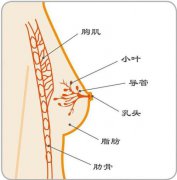 揭秘南京京科医院是否是骗子医院